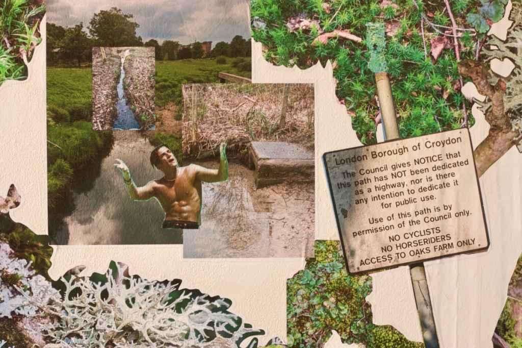 detail of mural showing Peter Andre frolicking in London rivers, alongside moss and Croydon Council signage